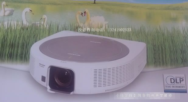 ����Z(y��)30000AW����3DͶӰ�C(j��)