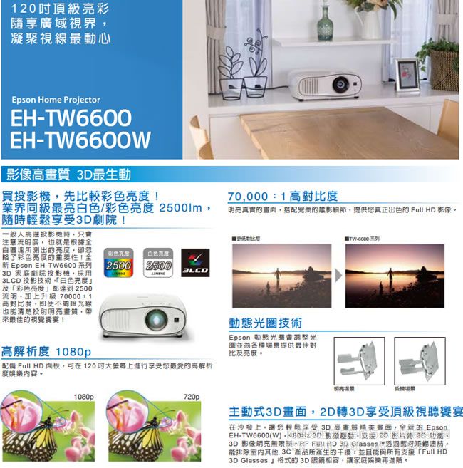 ������ͶӰ�CTW6600