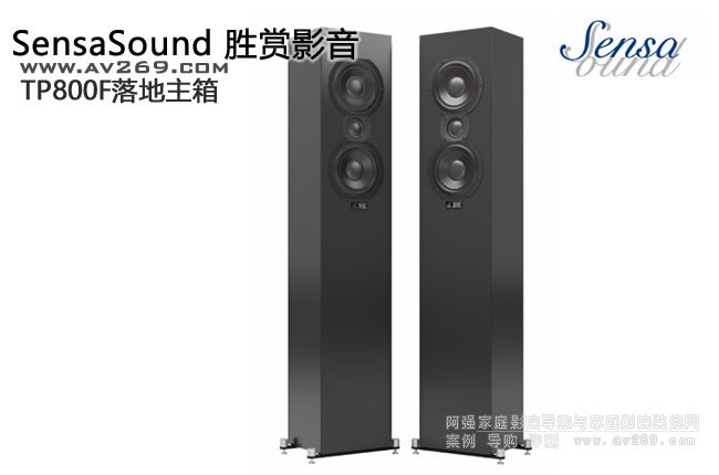 ���p����SensaSound TP800F�������