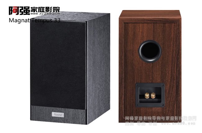 ����Magnat Tempus 33���������B