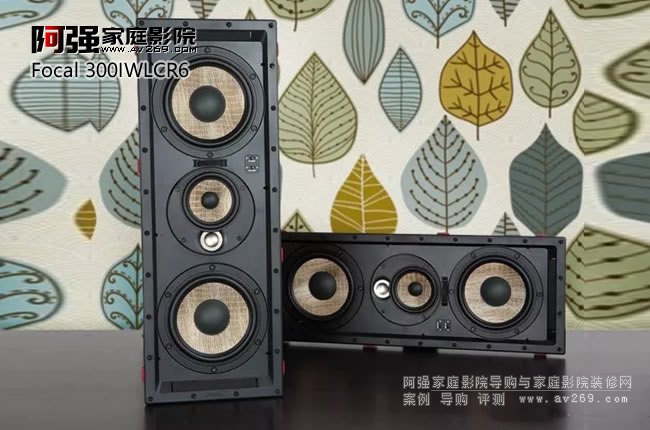 �o���挍�ĭh(hu��n)�@���wЧ��Focal 300IWLCR6