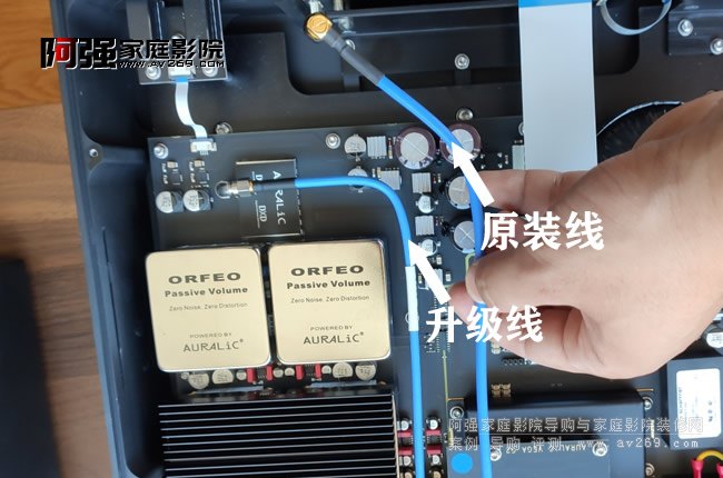 AURALiC퍕r犾�����Сӛ