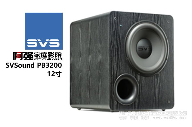 SVSound PB3200 12Ӣ�糬������