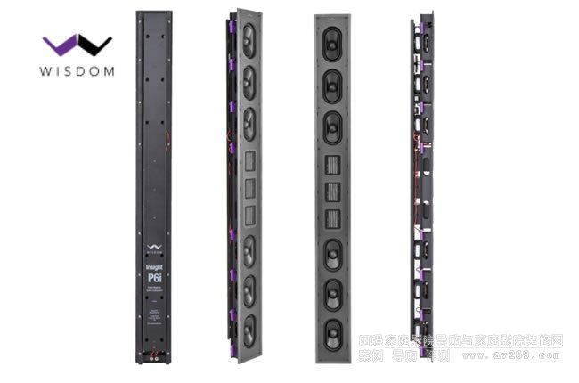 Wisdom Audio Insight P6i�뉦ʽ�����B