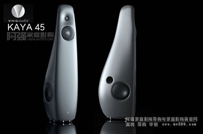 Vivid Audio KAYA45落地音箱