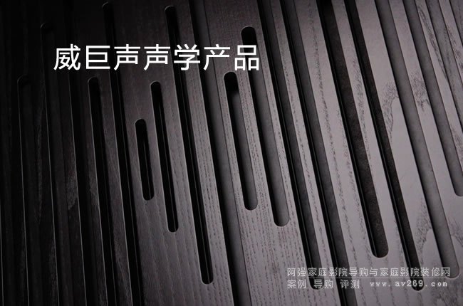 2019��������Vicoustic��������̖�aƷ�r�񅢿�