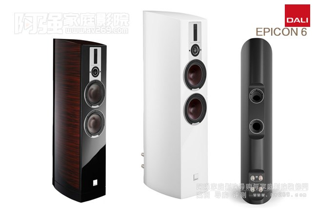 DALI�_��EPICON 6�����B