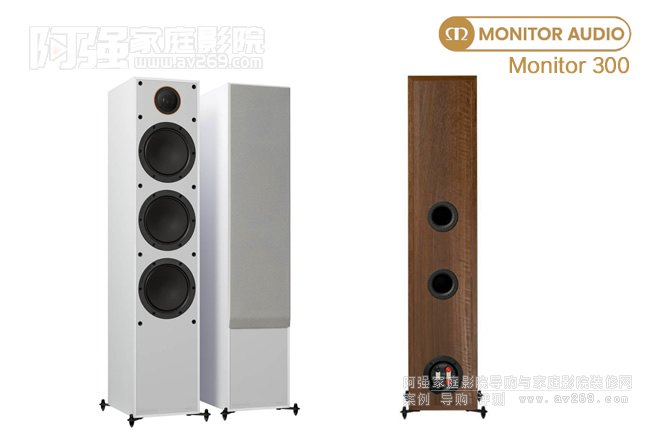 ����Monitor 300��������B