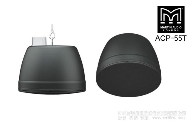 Ӣ������ACP-55T���䣬MARTIN AUDIO 5.25��ҵ��P��