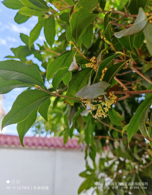 �����Ϸ�1�µĹ�