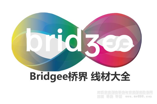 Bridgee���Ʒ�ƾ��Ľ�B