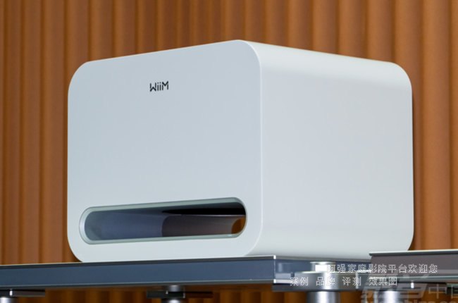 WiiM Sub Pro�����ܿɟo���ĵ�����