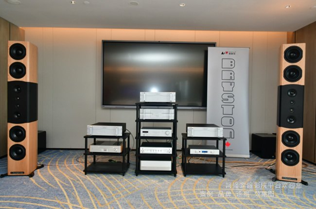 �F���ɰ���ͨModel T10�����_